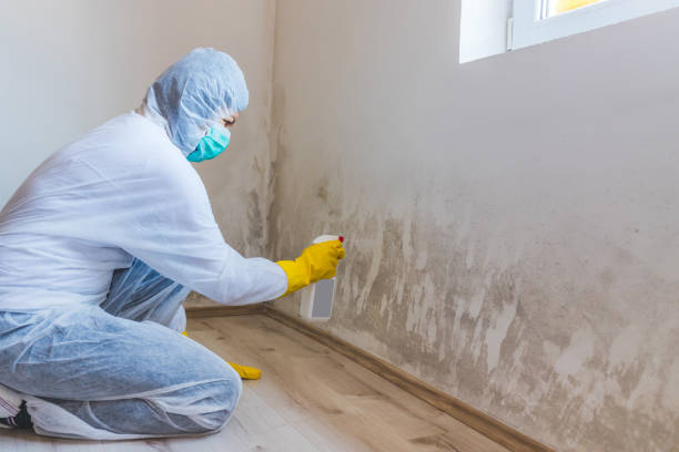 Hvac And Air Duct Mold Remediation inspection of HVAC system in Atlantic Beach