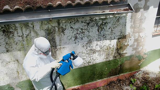 Mold Removal service in Atlantic Beach